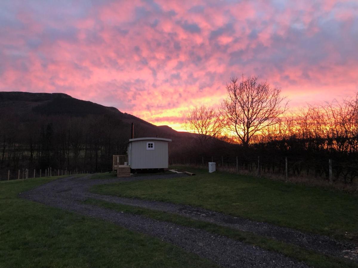 Rosemary Shepherds Hut, Clay Bank Huts Ingleby Greenhow エクステリア 写真
