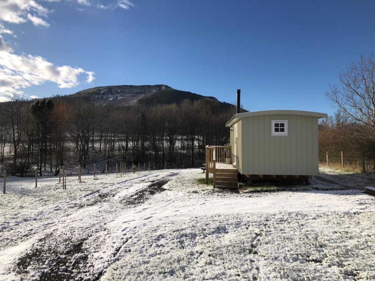 Rosemary Shepherds Hut, Clay Bank Huts Ingleby Greenhow エクステリア 写真