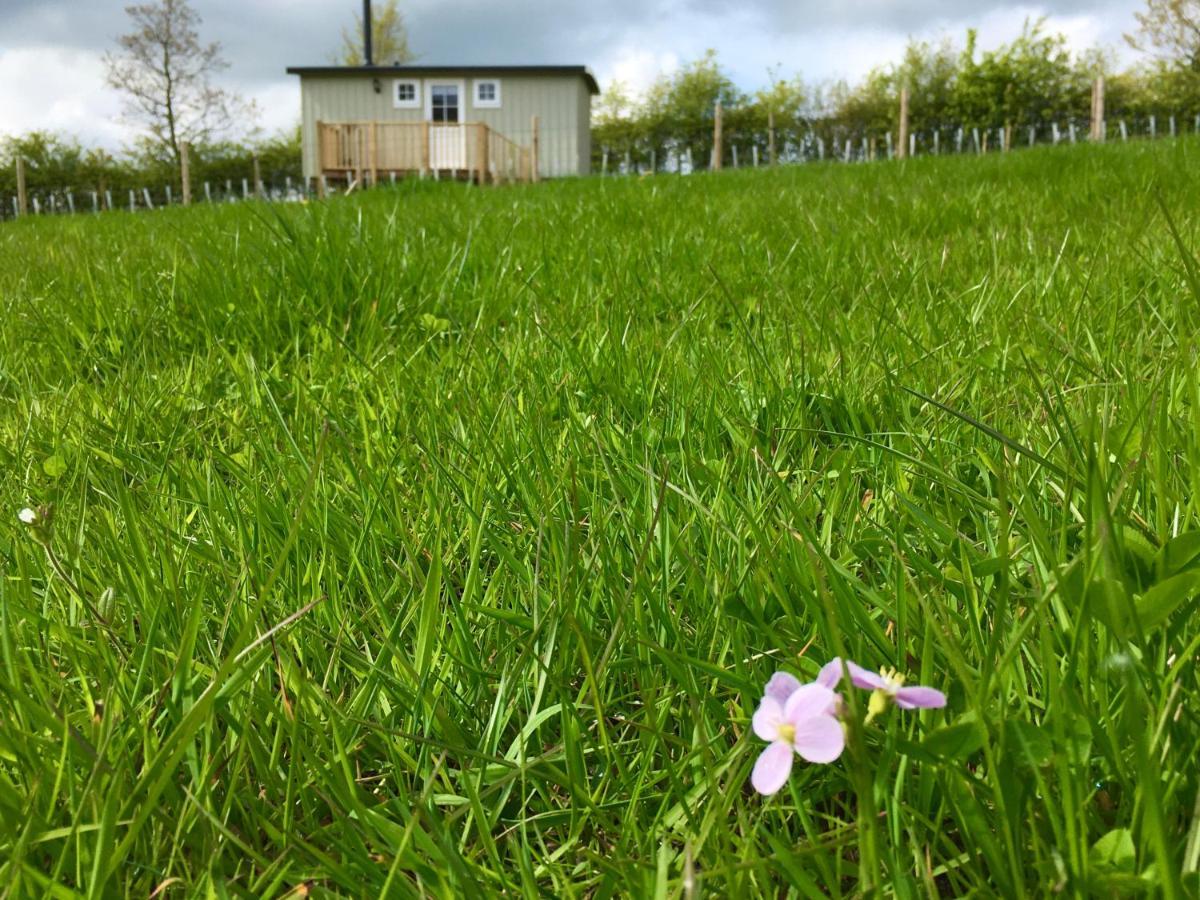 Rosemary Shepherds Hut, Clay Bank Huts Ingleby Greenhow エクステリア 写真